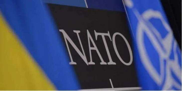 Ukraine Expects Adoption of NATO Membership Algorithm at Summit - Deputy Foreign Minister