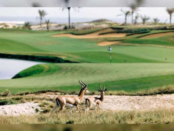 "الفنادق المستدامة" في الإمارات .. خدمات فاخرة وحماية لموارد الطبيعة