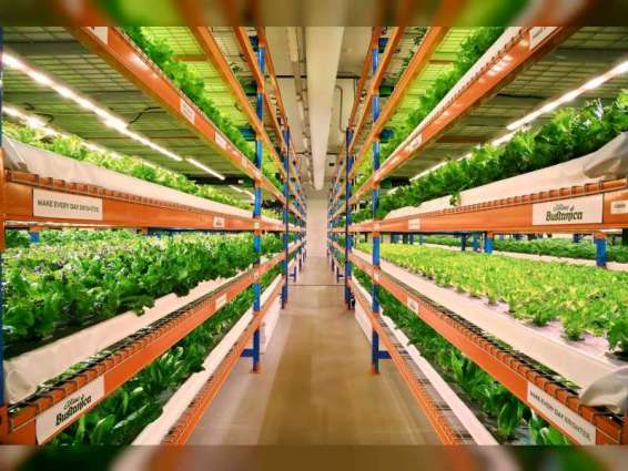 الزراعة الذكية مناخياً في الإمارات.. حلول مبتكرة لتحقيق الأمن الغذائي وحماية البيئة