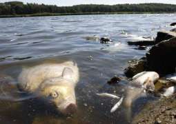 Germany Accuses Poland of Continuing to Dump Mercury Into Oder River