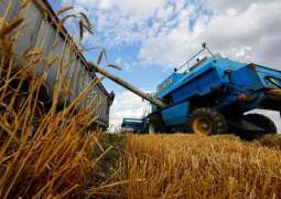 Czech Republic May Lose 1Mln Tonnes of Harvested Grain in 2023 - Agricultural Association