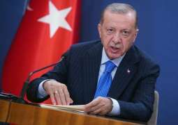 Turkey's Erdogan to Go on Gulf Tour From July 17-19 - Reports