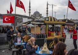 Turkish Finance Ministry Unveils Plan to Bring Inflation in Country to Single-Digit Level