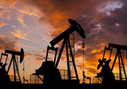 OPEC's Share in Global Oil Market to Grow to Over 40% by 2040-2050 - Secretary General