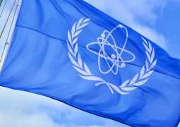 IAEA Head Says Some Progress Made in Getting Access to ZNPP Facilities