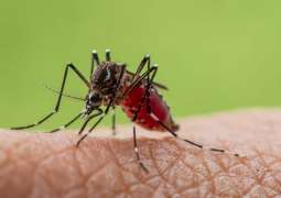 France Reports 11-Year Record Spike in Locally Acquired Dengue Cases in 2022