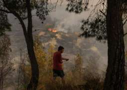 Greece Requests EU Assistance to Extinguish Wildfires, 4 Planes to Be Dispatched