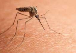 Two Cases of West Nile Fever Registered in Russia - Authorities