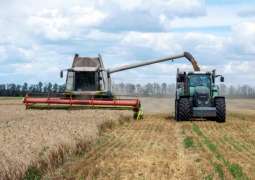 EU Agriculture Ministers to Discuss Extension of Ukrainian Grain Import Ban - Commission