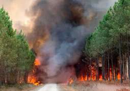 Wildfires in Southern France Put Under Control - Meteorological Service