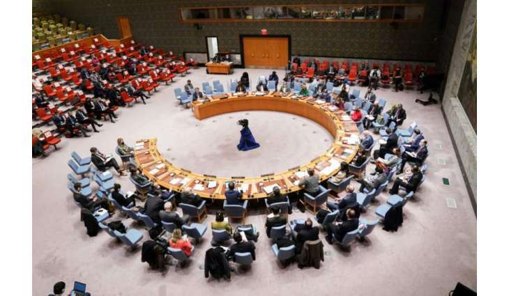 UN Security Council to Address Attacks on Odessa Wednesday at Ukraine's Request - UK Envoy