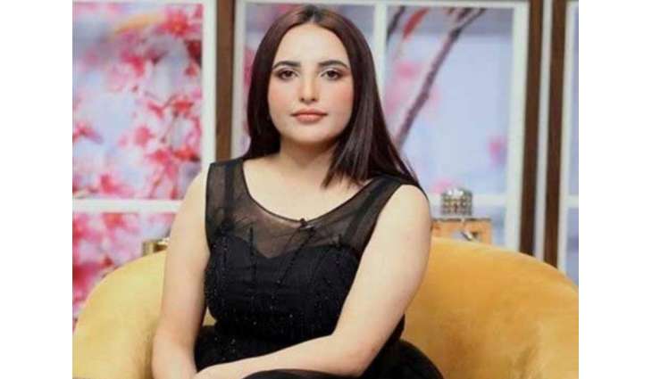 Hareem Shah lauds Ali Mohammad Khan, Shehryar Afridi for standing with PTI chief