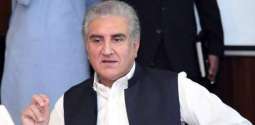 Shah Mahmood Qureshi gets pre-arrest bail in case related to May 9 incidents
