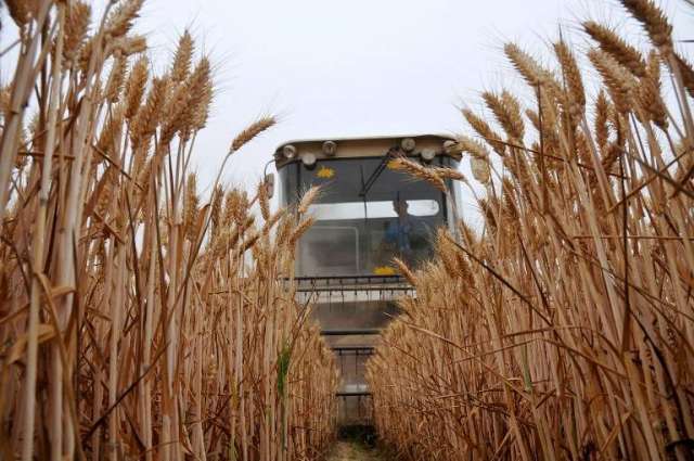FAO, OECD Say Agricultural Production to Grow at Slower Pace Until 2032