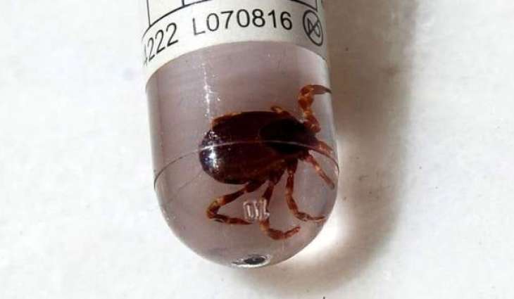 Two People Die in Turkey From Suspected Viral Disease Caused by Tick Bites - Reports