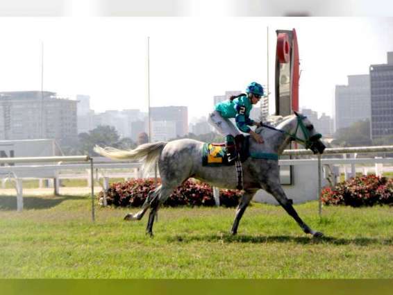 "المارد" و"نورمانديا" يتوجان بكأس الوثبة للخيول العربية في البرازيل 