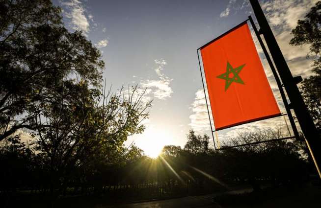 Morocco Wants to Cooperate With Russia in Pharmacology, Cybersecurity - Official