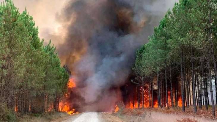 Wildfires in Southern France Put Under Control - Meteorological Service
