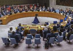 Russia Blocks US Presidency Program for UN Security Council - Deputy Envoy