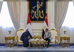 UAE and Egyptian presidents discuss brotherly ties
