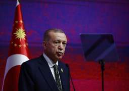 Turkey Continues to Hold Talks to Resume Grain Deal - Erdogan