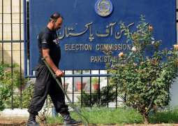ECP's delimitation schedule points to election delay