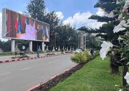 أديس أبابا تتزين بأعلام الإمارات 