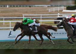 Tarbes Racecourse to host three Al Wathba Stallions races Sunday