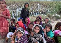 منظمة الأمم المتحدة للأطفال یدعو الی عدم نسیان الأطفال في باکستان