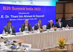 UAE calls for free flow of capital, goods, services during B20 meeting in India
