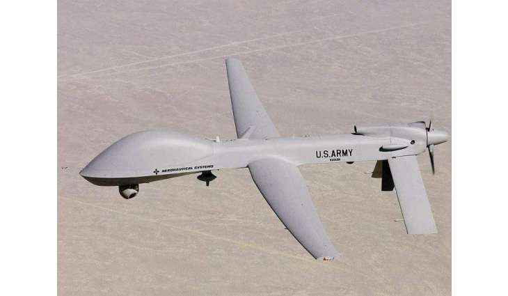 Russia's Planned Sale of Electric Drones to India Will Help Save Rare Birds - Company