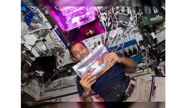 Sultan AlNeyadi undertakes HRF Veg Experiment aimed at enhancing space nutrition