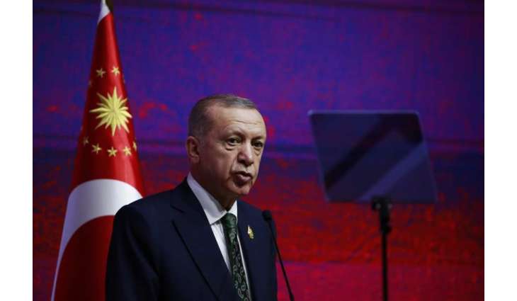 Turkey Continues to Hold Talks to Resume Grain Deal - Erdogan