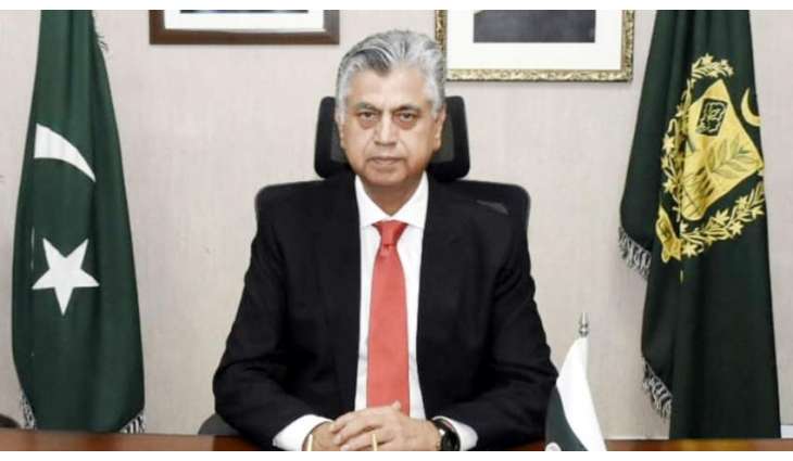 Caretaker Govt to assist ECP in conducting fair polls: Info Minister

 


 