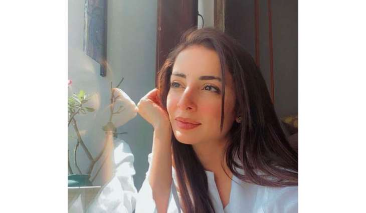 Sarwat Gillani alludes to potential creation of her own political party in future