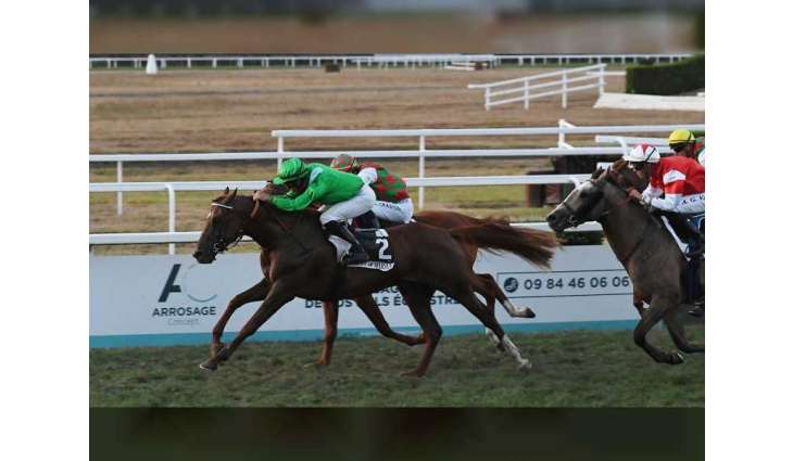 Tarbes Racecourse to host three Al Wathba Stallions races Sunday