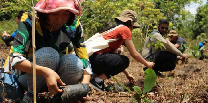 US, Global Efforts to Plant Billions of Trees Threatened by Lack of Seedlings - Study