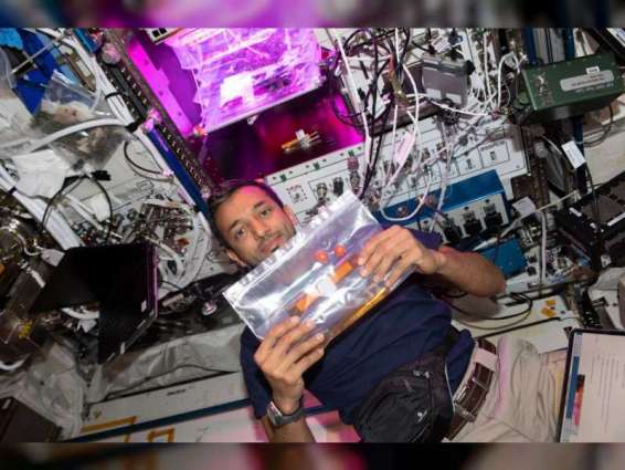 Sultan AlNeyadi undertakes HRF Veg Experiment aimed at enhancing space nutrition