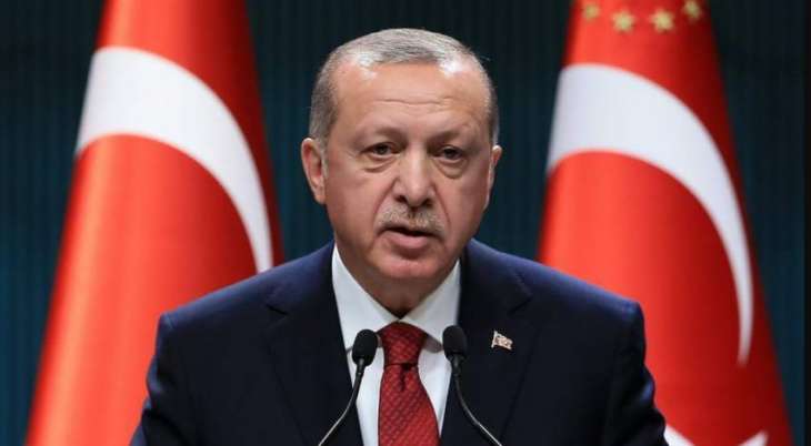 Erdogan to Visit Gulf Countries in August, Germany in September - Reports