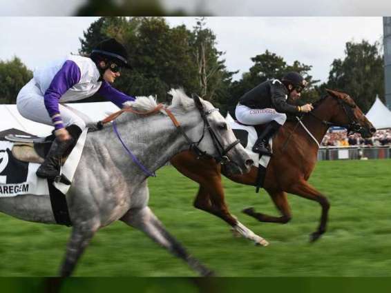 "فريدا بي" تفوز بكأس مهرجان منصور بن زايد للخيول العربية  في بلجيكا