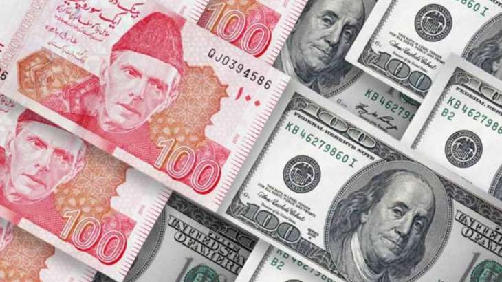 Pakistani rupee's decline against US Dollar persists amid economic challenges