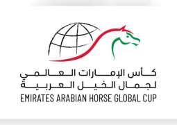 برعاية منصور بن زايد.. إطلاق كأس الإمارات العالمي لجمال الخيل العربية في مختلف قارات العالم