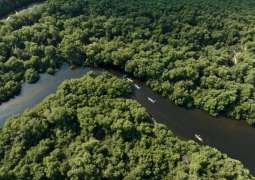 للإسهام في تحقيق أهداف "COP28".. مدينة "الزورا" تعتزم مضاعفة أشجار القرم في محميتها الطبيعية بعجمان