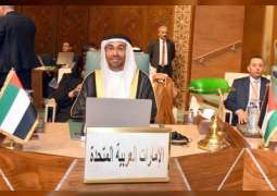 الإمارات تؤكد على أهمية الحوار العربي - الياباني وتفعيل آليات التعاون المشترك