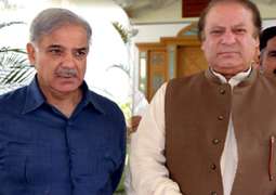 Shehbaz Sharif confirms return of his brother Nawaz Sharif