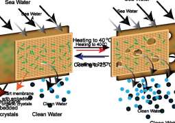NYUAD researchers develop self-cleaning membranes boosting desalination efficiency
