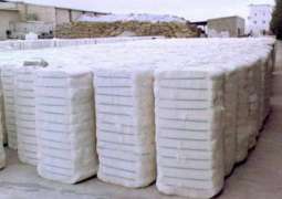 3.366m cotton bales obtained till now