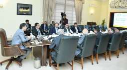 Govt to take stern action against electricity thieves: PM

