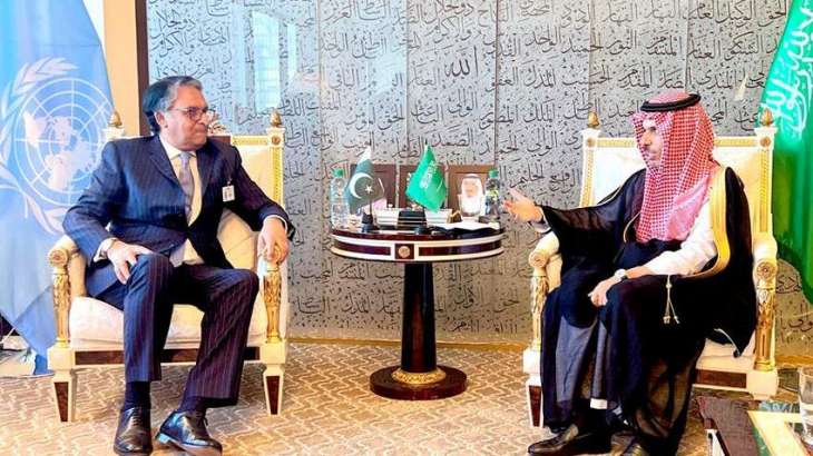 Pakistan, KSA agree to deepen cooperation in diverse sectors