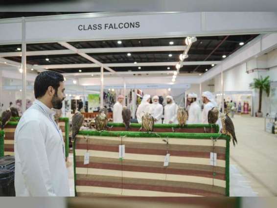 Al Asayl Exhibition 2023 set to draw an impressive crowd of horse, camel, falcon, hunting, and equestrian sports enthusiasts from across the region